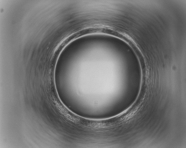 X0000057090783200509231649