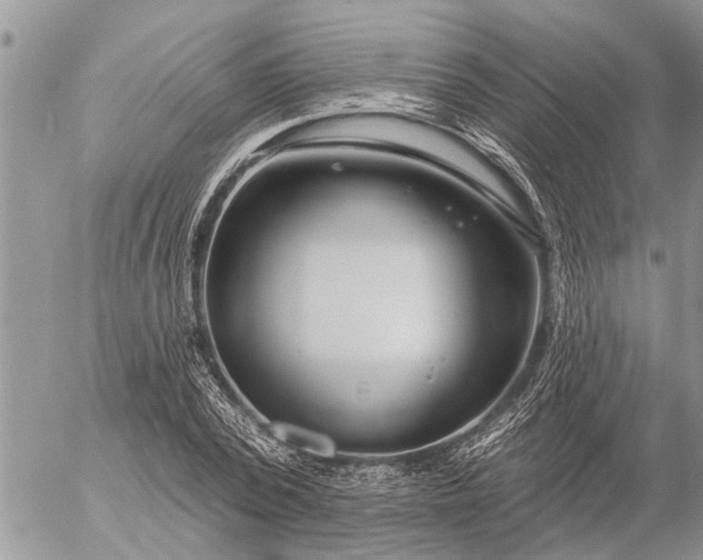 X0000057090784200509231649