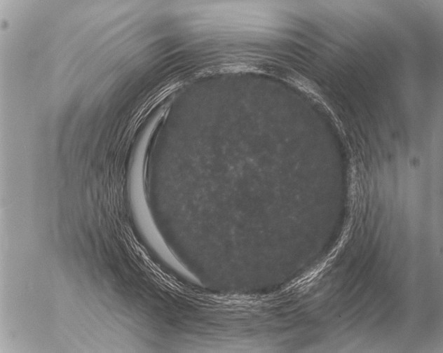 X0000057090785200509231649