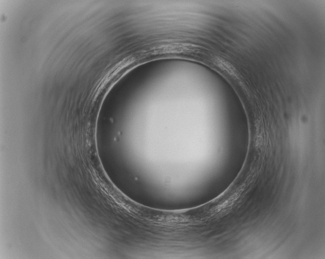 X0000057090786200509231649