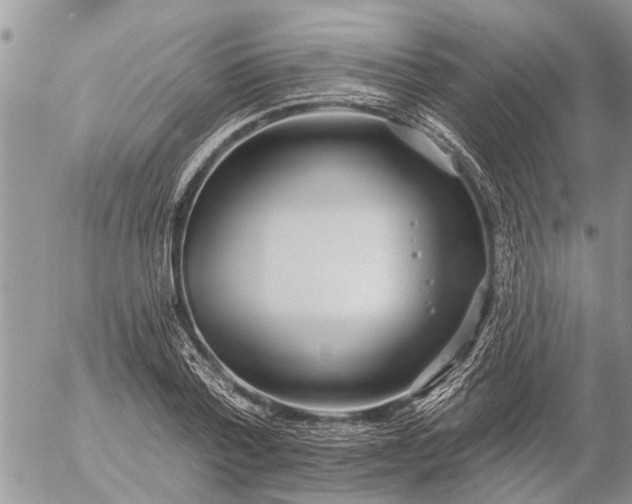 X0000057090788200509231649