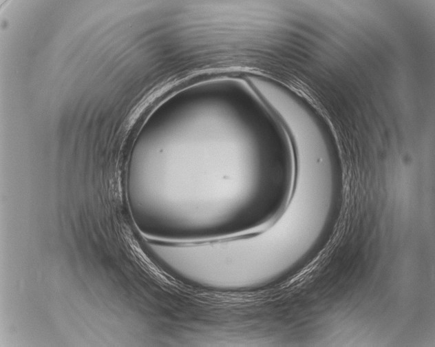 X0000057090789200509231648