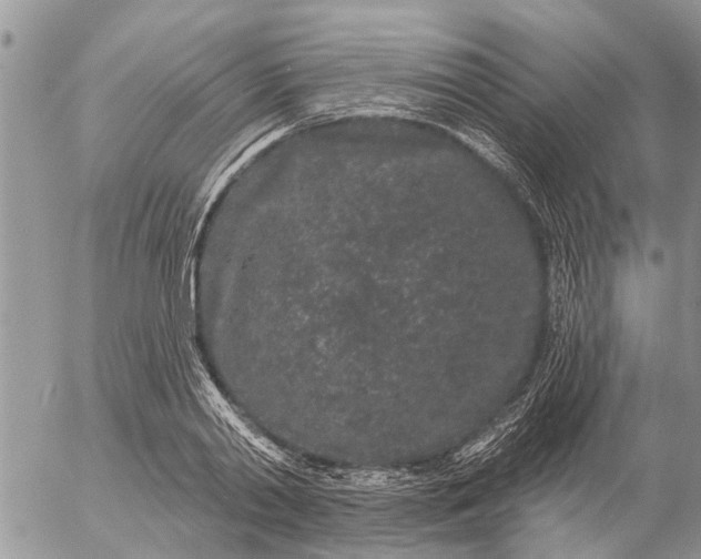 X0000057090790200509231648