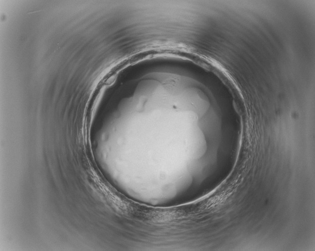 X0000057090791200509231648