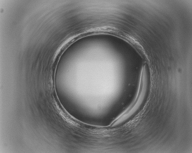 X0000057090792200509231648