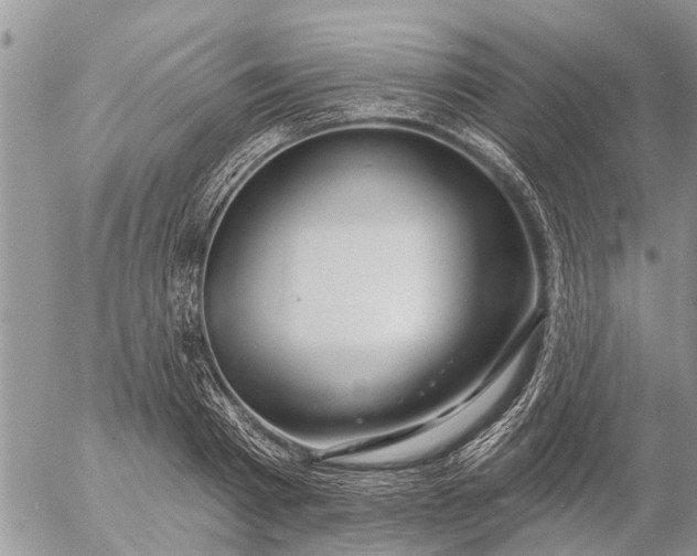 X0000057090793200509231648