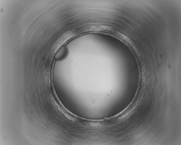 X0000057090794200509231648