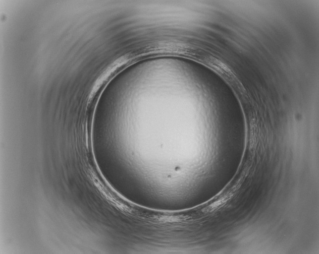 X0000057090796200509231648