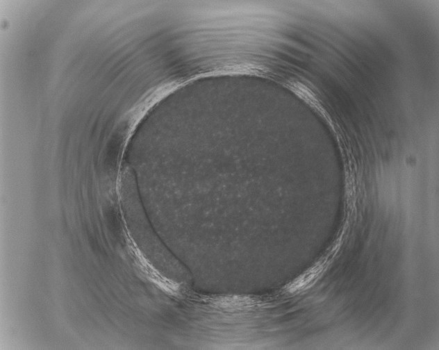 X0000057090797200509231648