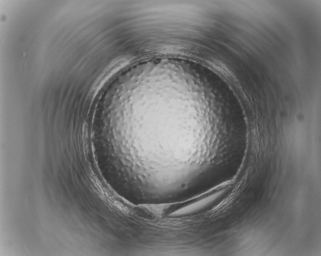 X0000057090798200509231648