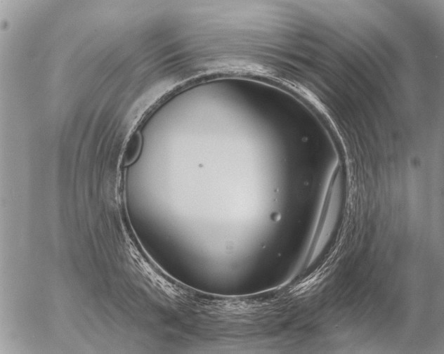 X0000057090799200509231648