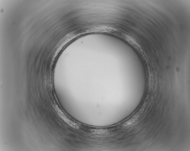 X0000057090800200509231648