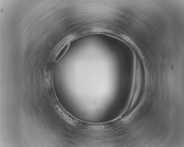 X0000057090801200509231648