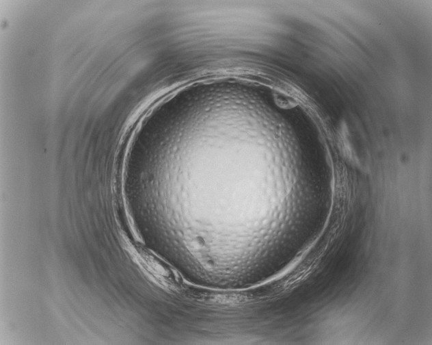 X0000057090803200509231648