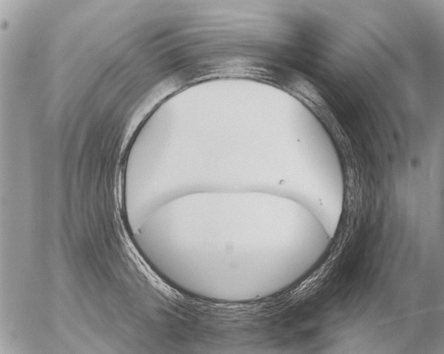 X0000057090804200509231648