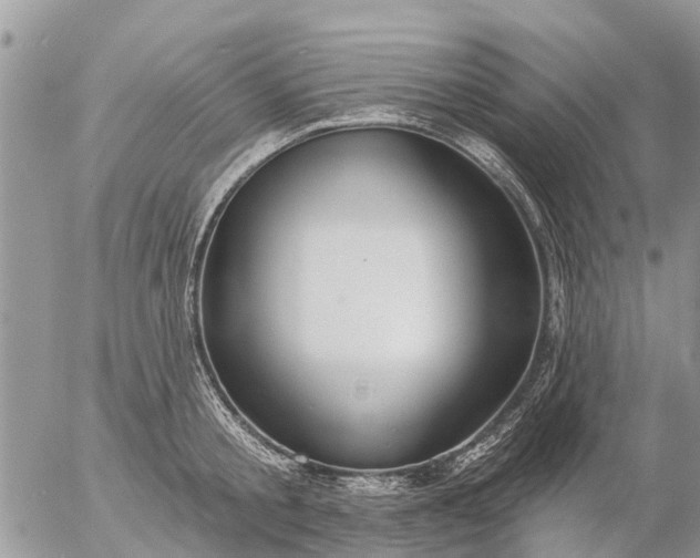 X0000057090805200509231648