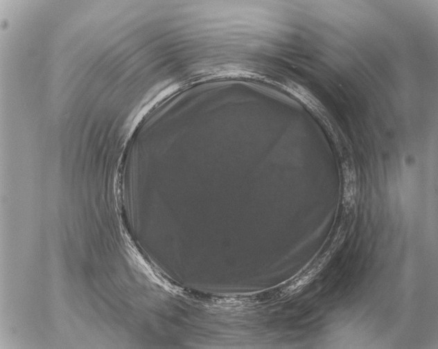 X0000057090806200509231648