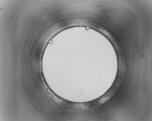 X0000057090807200509231648