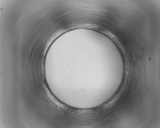 X0000057090808200509231648