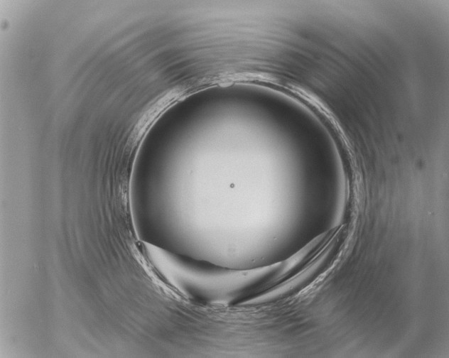 X0000057090809200509231648