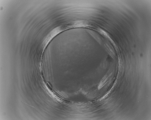 X0000057090810200509231648