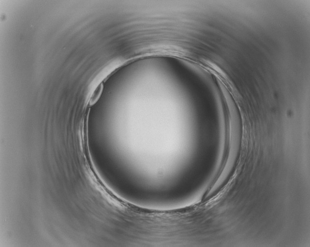 X0000057090812200509231648