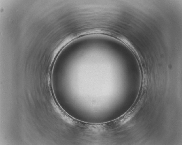 X0000057090813200509231648