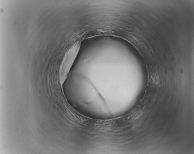 X0000057090817200509231647