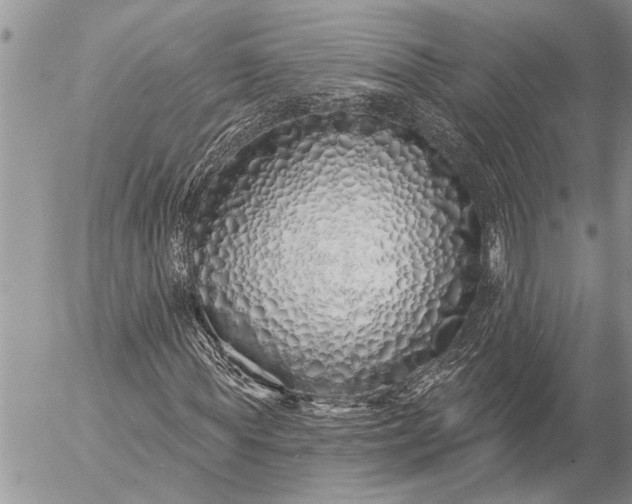 X0000057090819200509231647