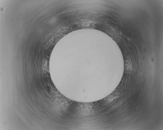 X0000057090820200509231647