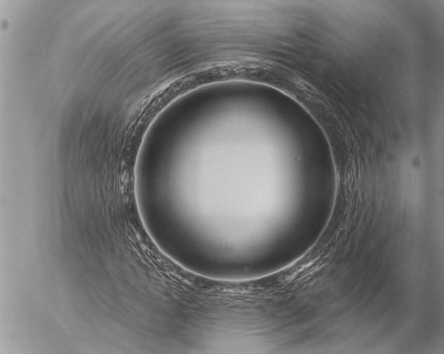 X0000057090822200509231647