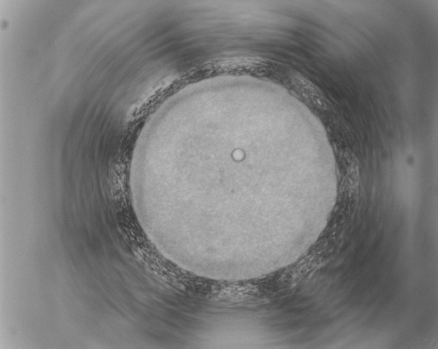 X0000057090824200509231647