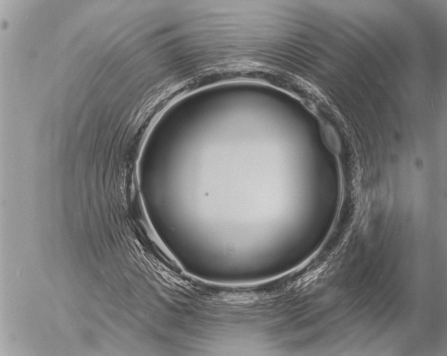 X0000057090825200509231647