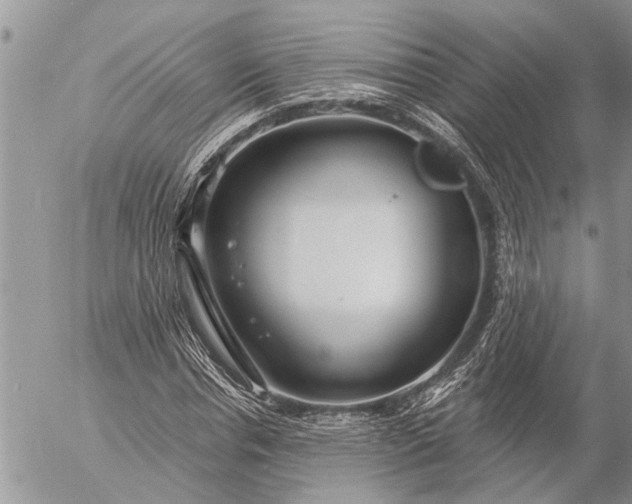 X0000057090826200509231647