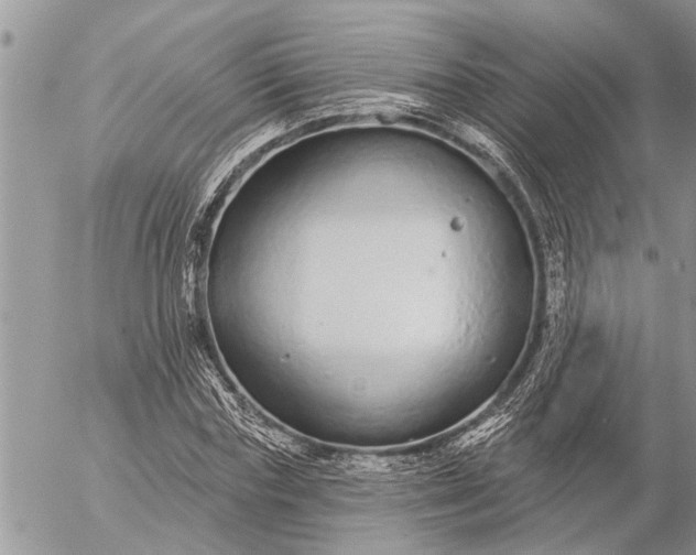 X0000057090827200509231647