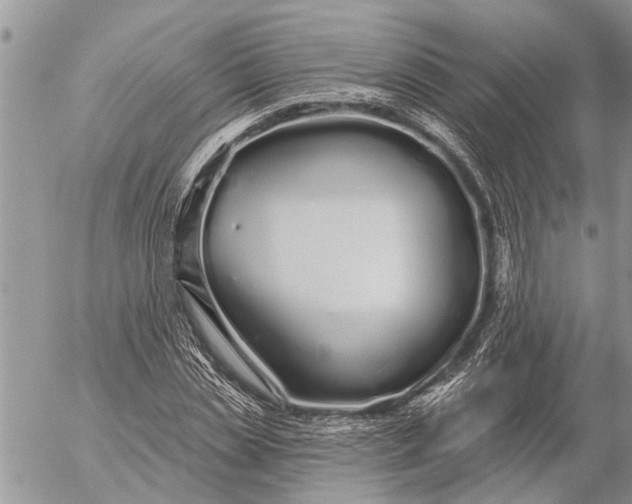 X0000057090829200509231647