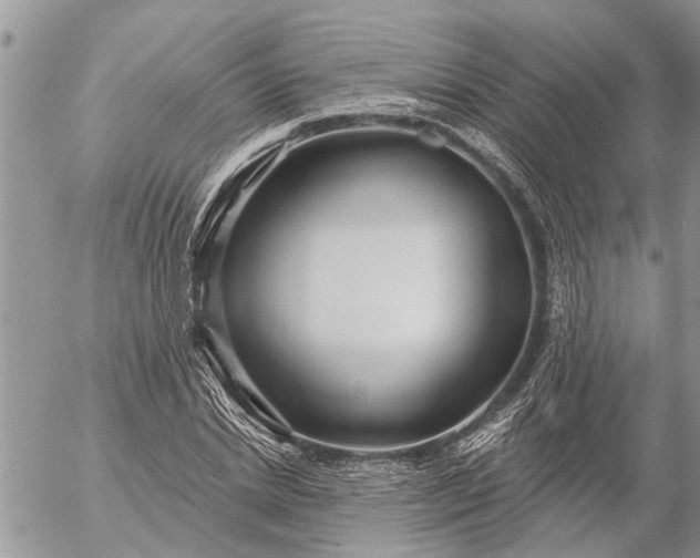 X0000057090830200509231647