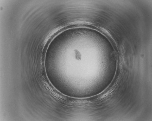 X0000057090831200509231647