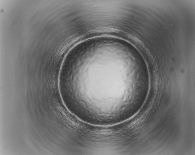 X0000057090833200509231647