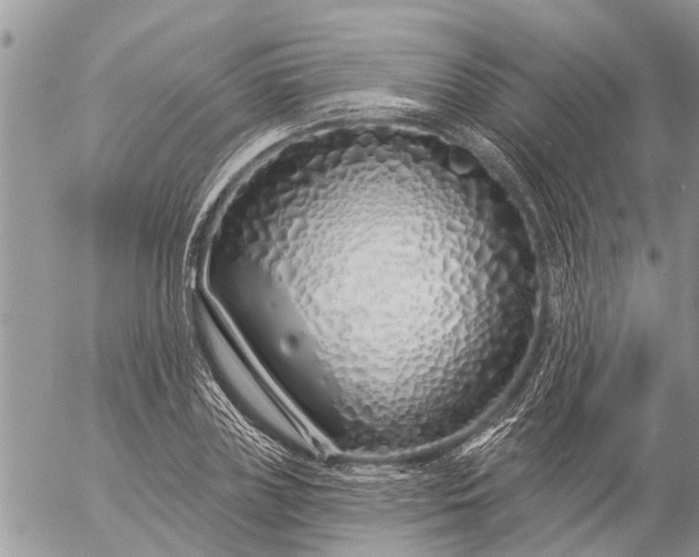 X0000057090835200509231647