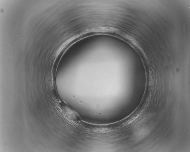 X0000057090837200509231648