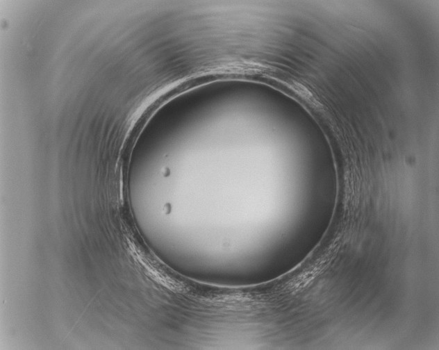 X0000057090838200509231648