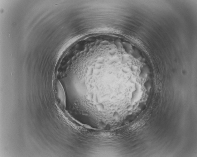 X0000057090839200509231648