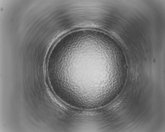 X0000057090840200509231648