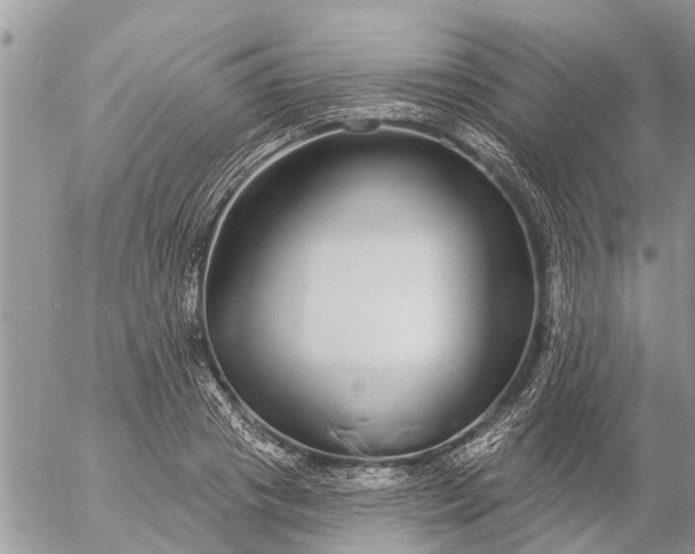 X0000057090841200509231648