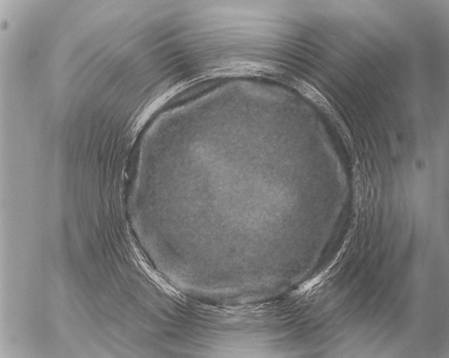 X0000057090842200509231648