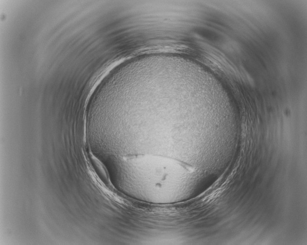 X0000057090844200509231648