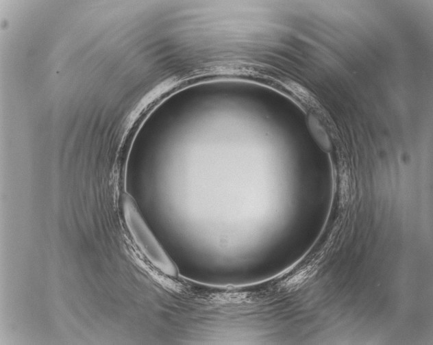 X0000057090846200509231648