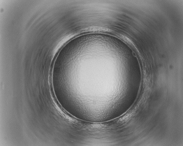 X0000057090847200509231648