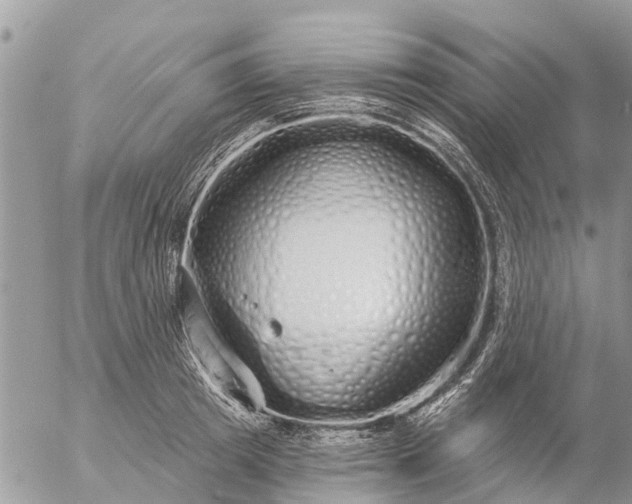 X0000057090849200509231648